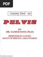 Anatomy SD Pelvis Sameh Doss PDF