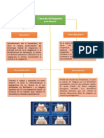 Curación Del Ligamento Periodontal