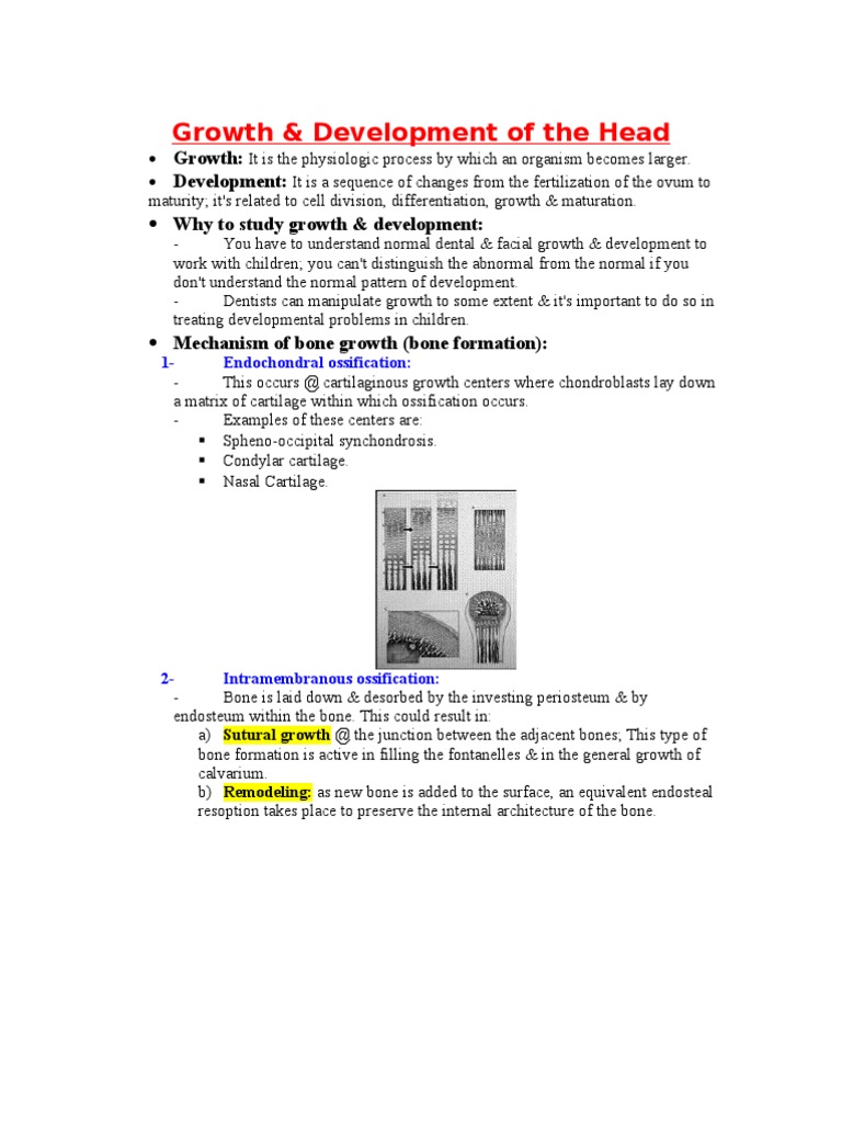 Growth Development of The Head | PDF | Skull | Bone