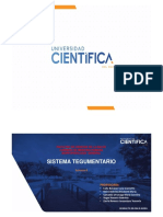 6 Práctica-Histología-Piel y Anexos-Morfo General-2020-1 (1)