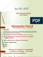 Modelo Induccion SST