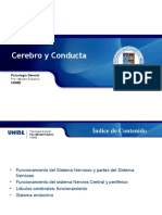 Presentacion cerebro y conducta