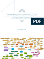 Tarea. Exploración Neurológica