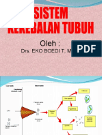 SISTEM IMUN OPTIMAL