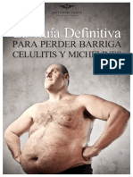 Guiaperderbarriga