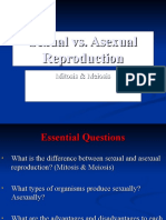 Sexual Vs Asexual Reproduction