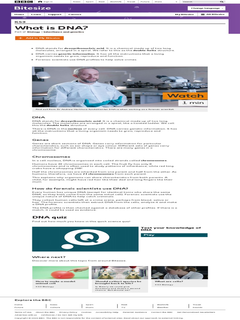 What Is DNA BBC Bitesize PDF Dna Gene