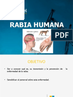 Rabia Humana