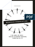 Musculo Esqueletico