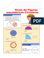 Área de Una Región Circular PDF