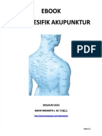 PDF Ebook Titik Titik Akupunktur Khusus 12 PDF DL - PDF