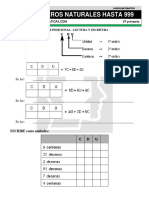 05 Números Naturales Hasta 999 Tercero de Primaria PDF