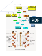 Sistema Autonomo 2