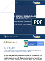 Becas Excelencia Doctoral Bicentenario_Docentes ocasionales y catedráticos.pptx