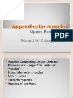 Appendicular Muscles. Upper Extremities 14077406240898597316