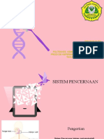 Sistem Pencernaan Pada Manusia