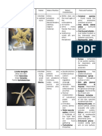 Ophiomastix Annulosa: Specimen Habitat Mode of Nutrition Distinct Characteristics Parts and Functions