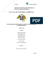 Contaminacion de Residuos Solidos-Mercado Hermelinda