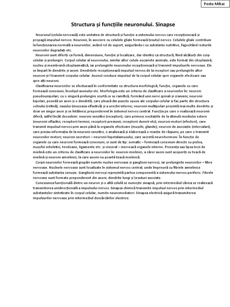 Structura Si Functiile Neuronului. Sinapse | PDF