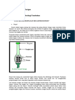 Biologi Embrio Tumbuhan