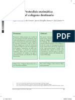 Proteolisis Enzimatica Del Colageno Dentario PDF