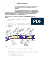 Cell Modeling