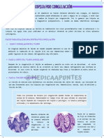 Biopsia Por Congelación PDF