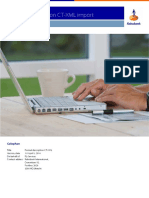 Format Description CT-XML PDF