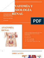 Anatomía y fisiología renal