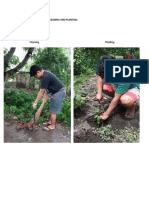 Cantos, Felix / Task 1.3 / Cleaning and Planting