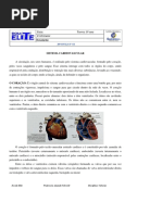 SISTEMA CARDIOVASCULAR
