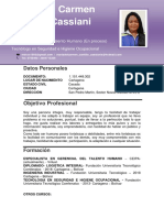 Hse HV Maria Cantillo Ing Ind PDF