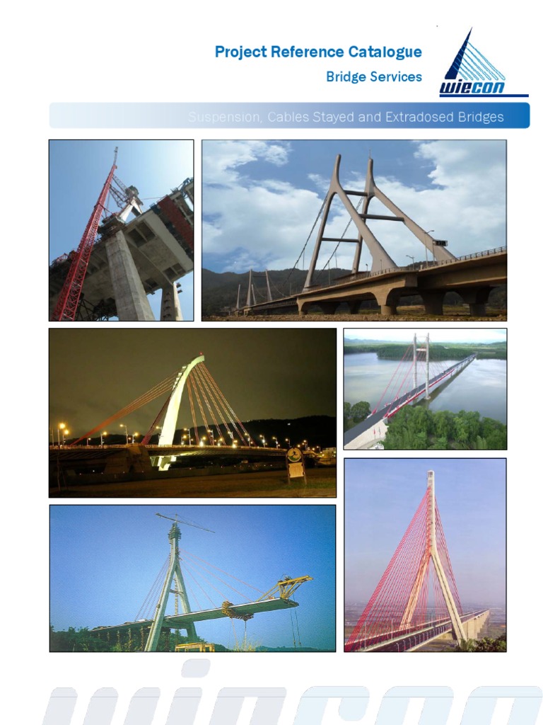 02_CableStaySuspensionExtradosedBridges_l Puente Ingeniería