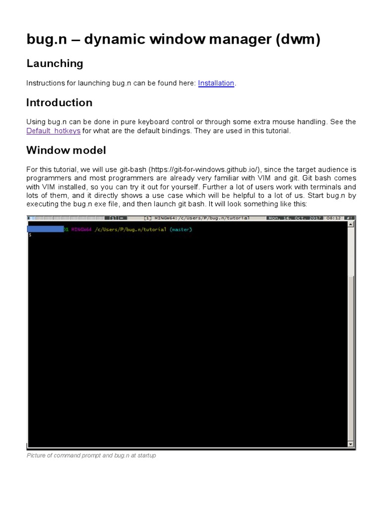 bug.n Dynamic Window Manager Guide | PDF | Microsoft Windows | Command ...