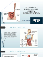 NUTRICION-GASTROINTESTINALES-PARA-ALUMNOS-DE-CLINICA-NUTRICIONAL-1-1[1] (1)