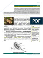 Celula I PDF