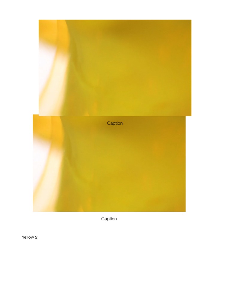 Blank 2 | PDF
