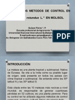 08h00 – 98h15 Efecto de los métodos de control en Cyperus rotundus L. en un Molisol.pptx