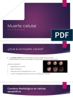 Muerte Celular PDF