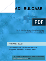 Curs 7 - Maladii buloase