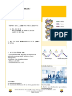Ácidos Nucleicos Practica en Clase