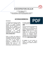 Informe Numero 3 Estructura Celular Actividad Enzimatica PDF