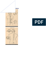 medicina-traditionala-chineza.pdf