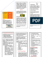 Proyecto de Vida Plegable PDF