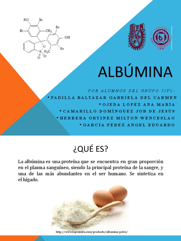 Que hace la albumina en la sangre 60 foto - Farosypuertos.com