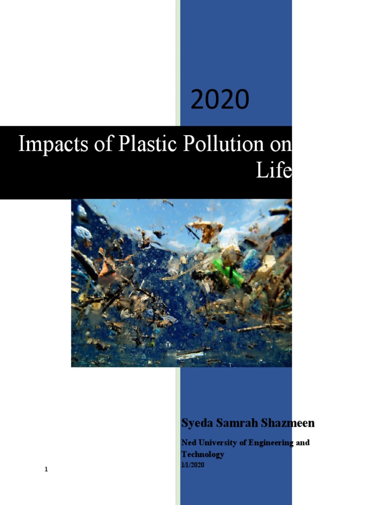 Effects of Plastic Pollution on Marine Life | PDF | Plastic | Environment