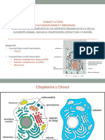 Clase 17_Unidad 4_Retículo Endoplasmático