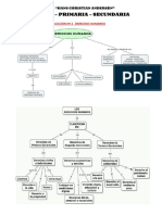 Derechos Humanos PDF