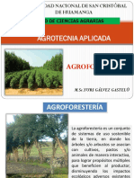 4. Agroforestería