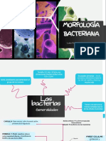 Morfología Bacteriana